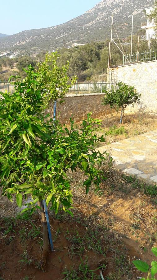 Вилла Εξωτικο Διαμερισμα Με Θεα Την Παραλια Αλυκης Aliki  Экстерьер фото